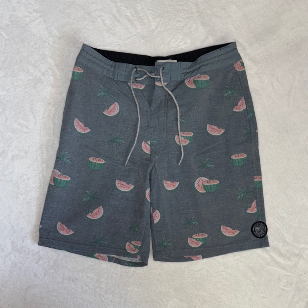 Men's Gray ripcurl Watermelon Print swim Shorts Sid 28